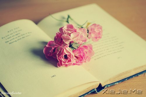 �簲����ù�ȥ�Ķ���ȥ (12)