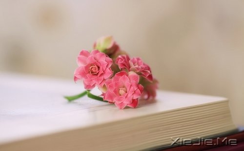 �簲����໰�Ȼ��Ըɾ�һǧ�� (1)