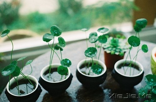 �������ʱ�䲻�����㿴͸���ˣ�Ҳ���������Լ� (10)