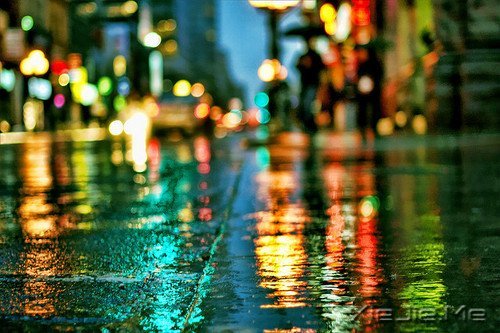 �簲����谮�Լ�����������Ҫ�� (8)