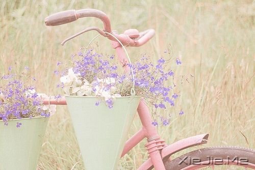 �簲����˱���ӵ�����룬�Ż����𴲵Ķ��� (2)