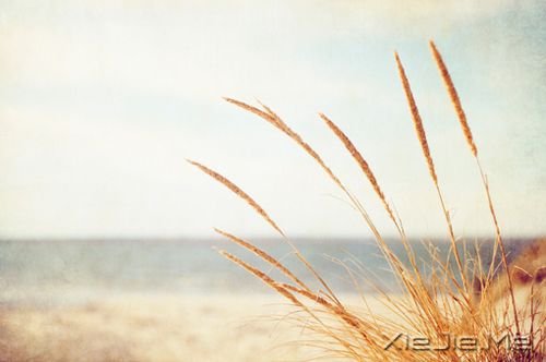 ������������õ��ܻ��ڲ��������� (3)