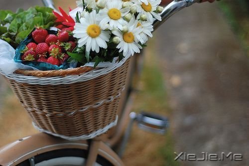 �������ʱ�䣬��һ����֤�����ණ������һ���ῴ͸���ණ�� (10)