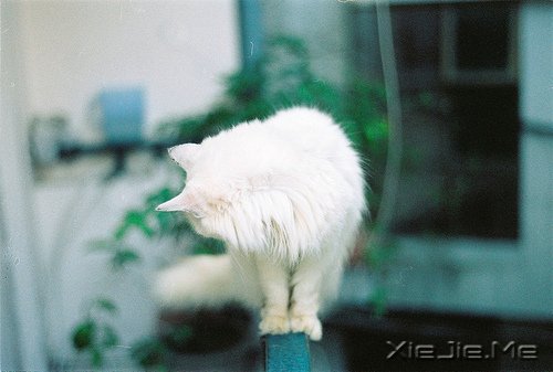愿你不再害怕面对之前的自己