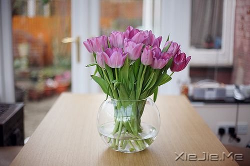 ������¼��20�������������� (4)