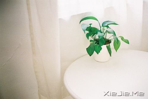 治愈系图片 (1)